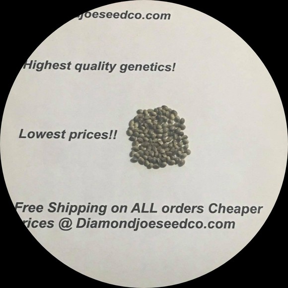 diamondjoeseeds